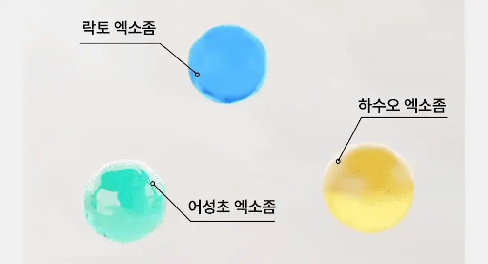 [포켓몬 에디션][비듬/각질케어]릴리이브 스칼프턴 시카 PDRN 딥클린 샴푸 500g 2종 택1 상세페이지 60